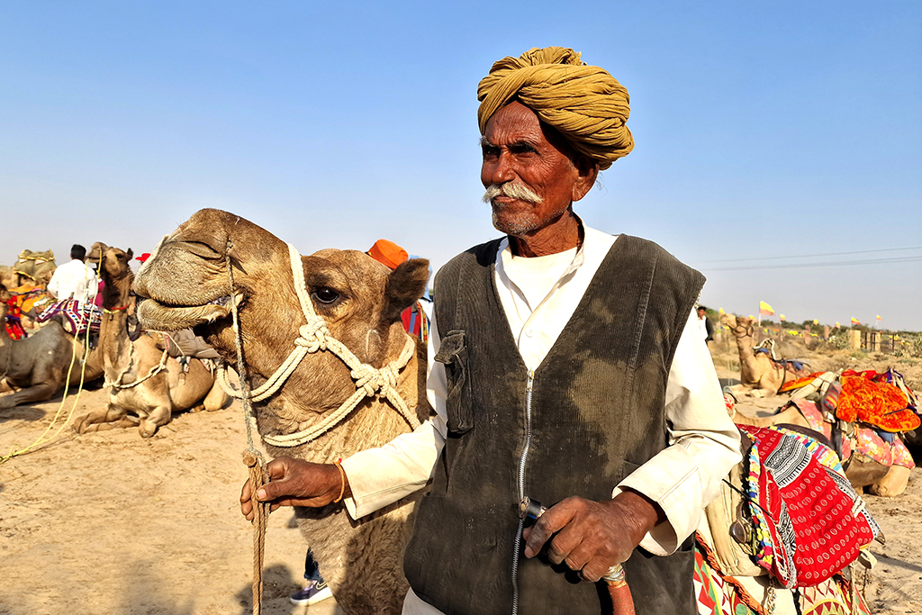 The Camel Rider by Syed Shakhawat Kamal