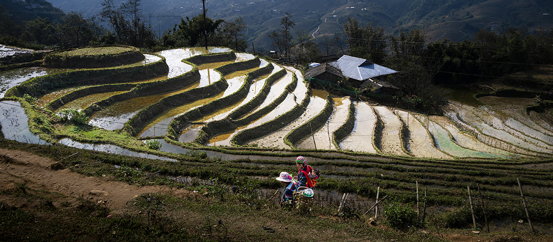 One Afternoon in Sapa by Tony Au Yeong