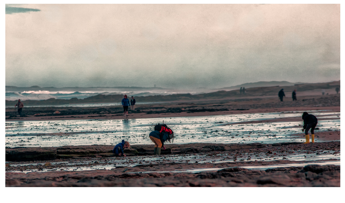 The Beach Combers by Paul Hoffman