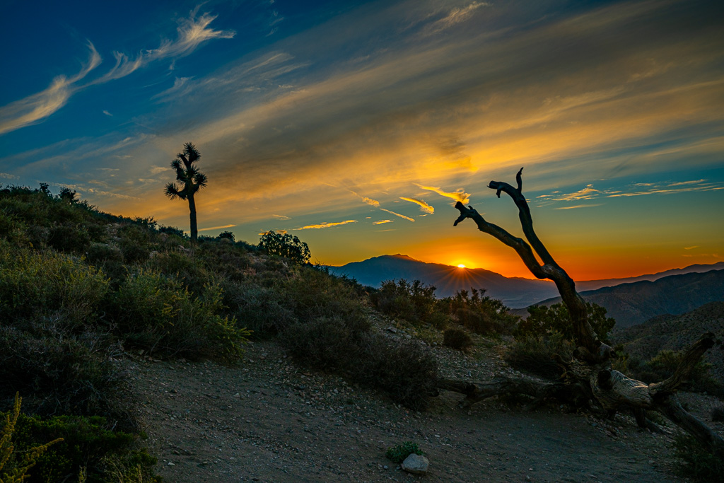 Alan Kiecker Group 49 PSA Digital Dialogue