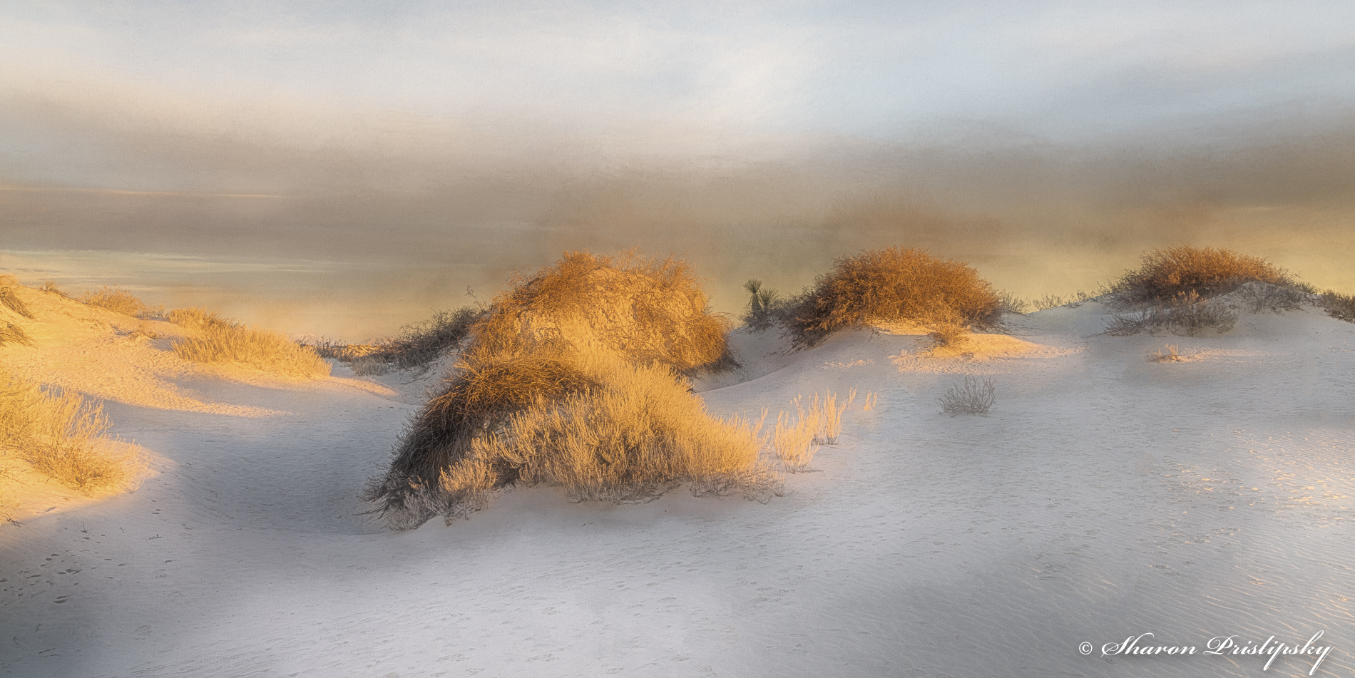 White Sands Morning by Sharon Prislipsky
