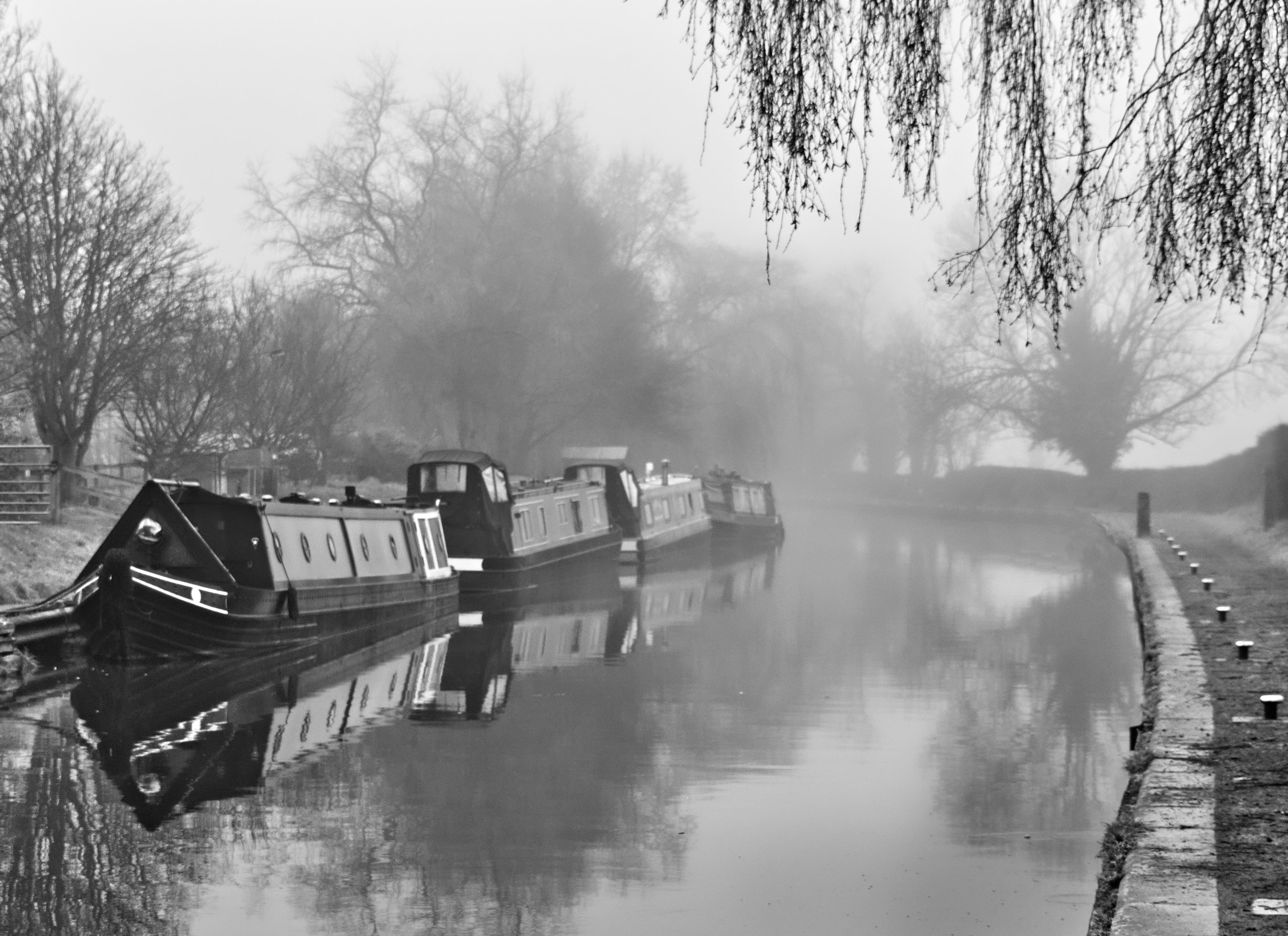 Misty Scene at Grandly Brook by Stuart Ord