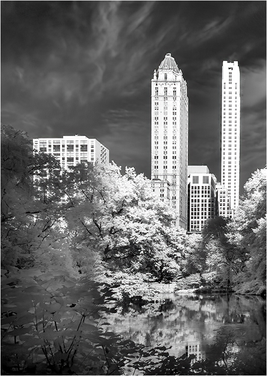 Skyline from Central Park by Melanie Hurwitz