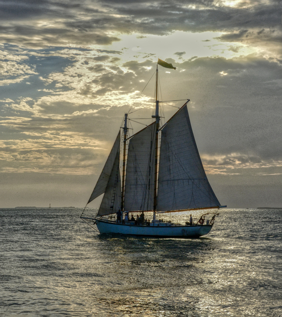 Schooner Appledore Evening Sail by Tom Buckard