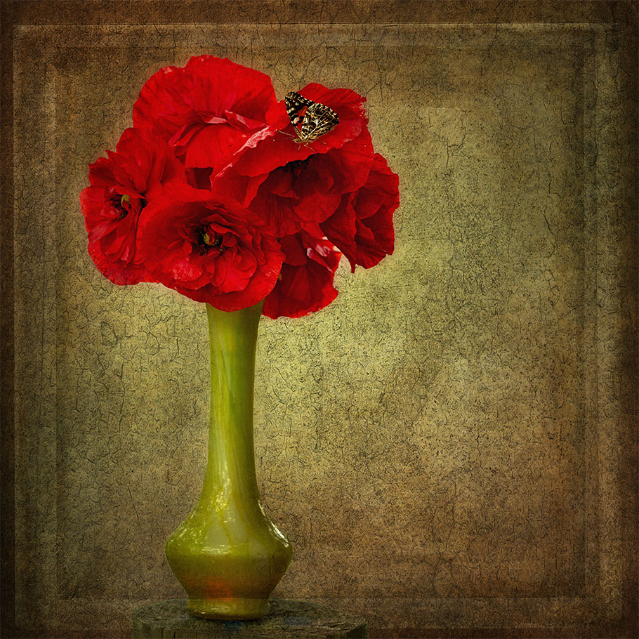 Red Poppies by Nadia Trevan