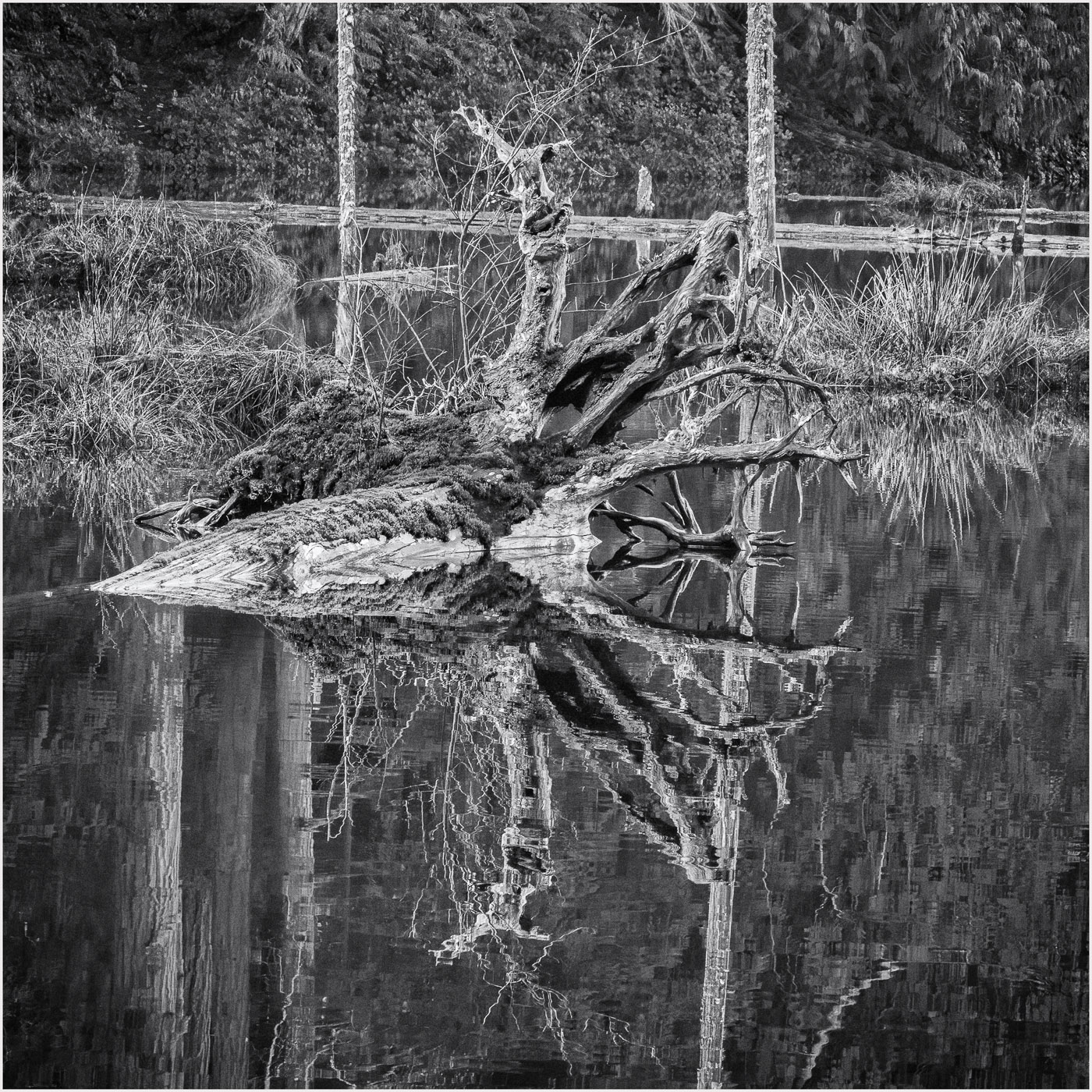 Reflections At Little Cranberry Lake by Michael Hrankowski