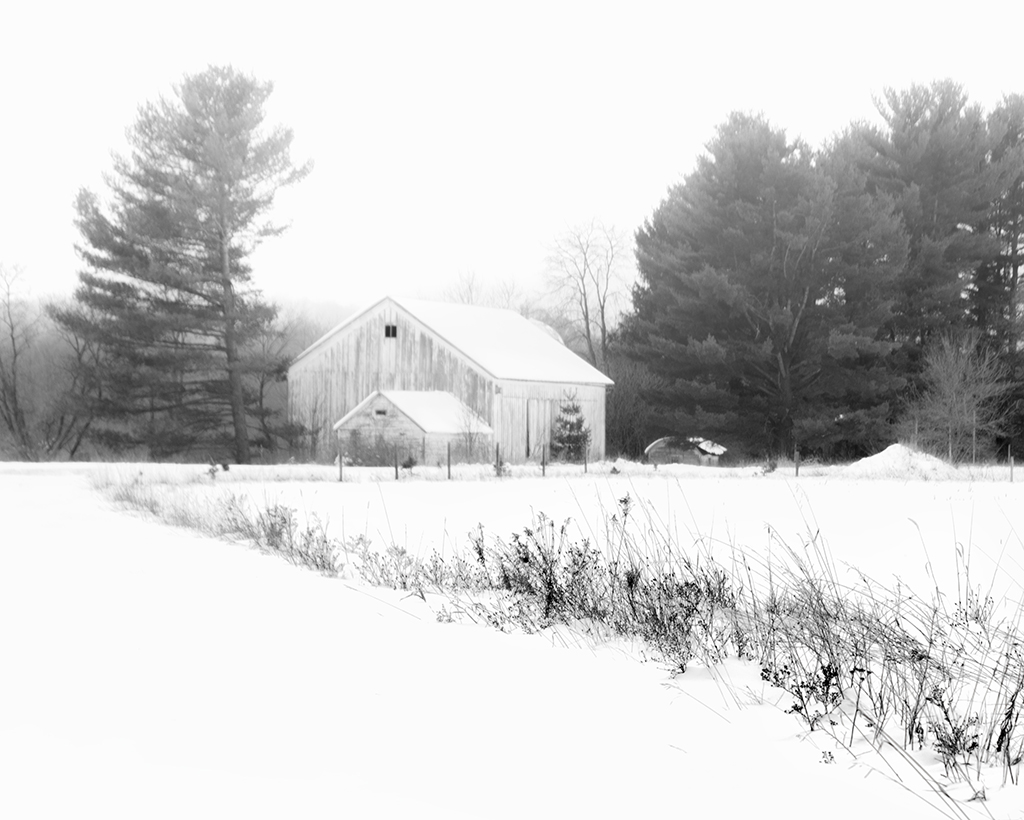 Abandoned Barn Winter Fog by Trey Foerster