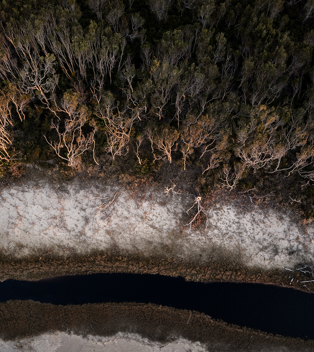 Shoreline by Suzanne Wacker