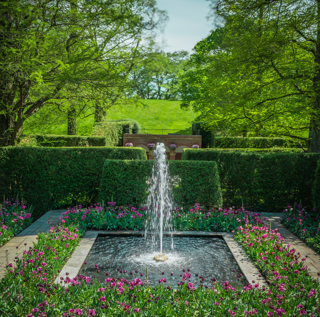 Fountain by Douglas Gerdts