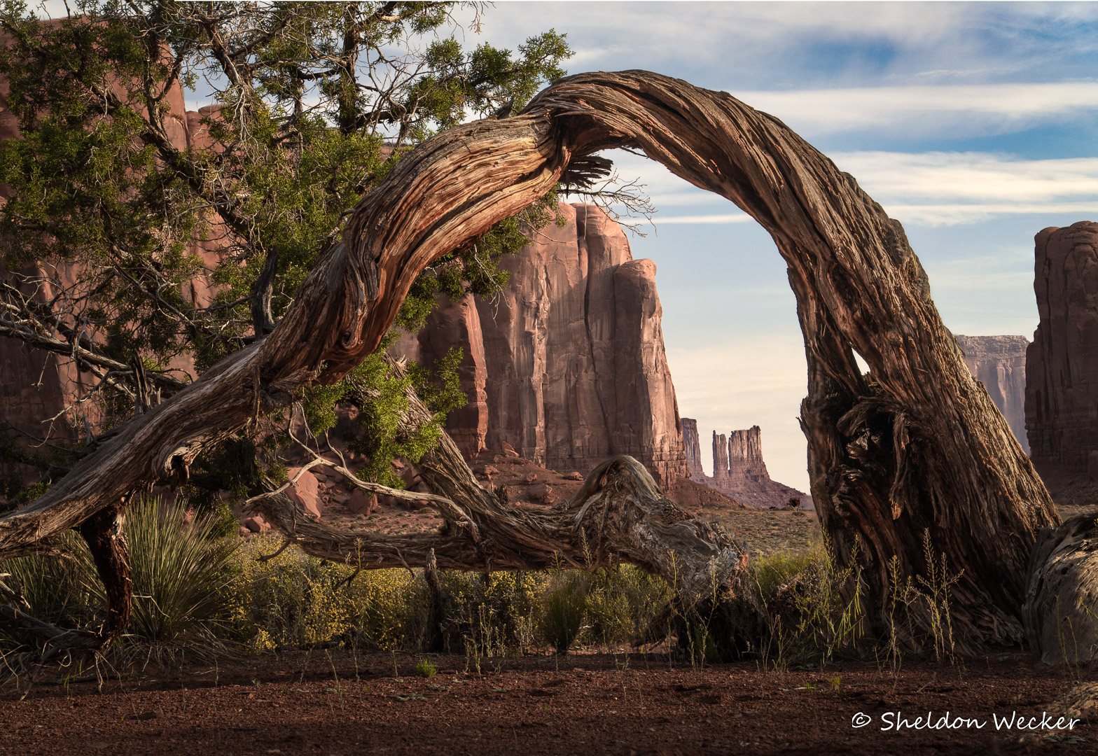 July 2026 - Sheldon Wecker, QPSA