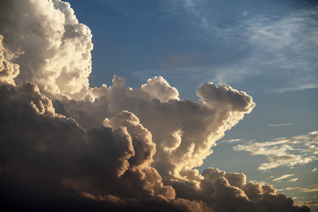 Sky - Rabbit in the Sky by Connie Reinhart