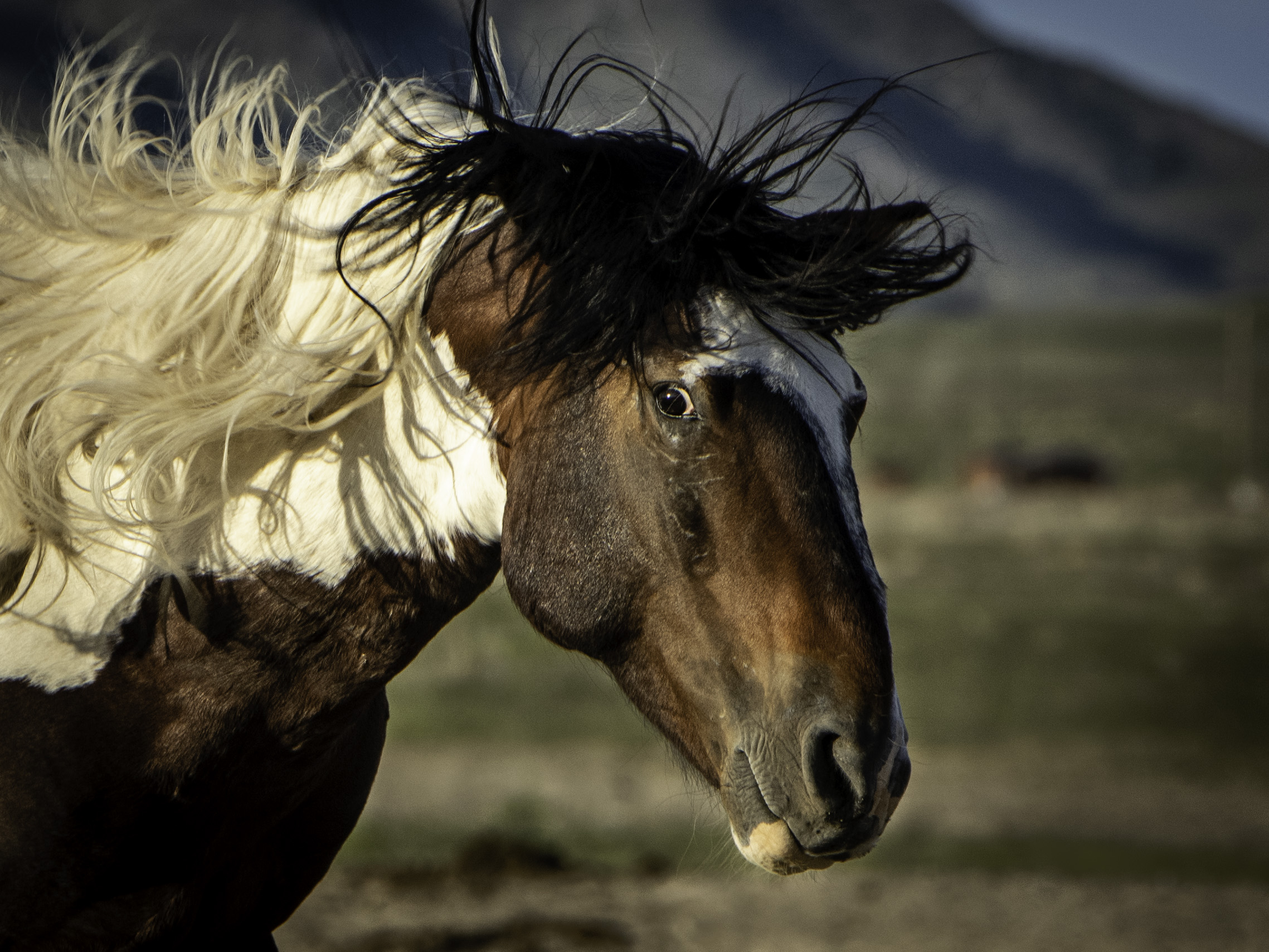 Looking at Me by Glenn Rudd