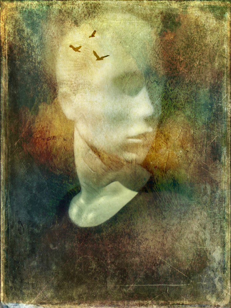 Imagination by Robin Mellor