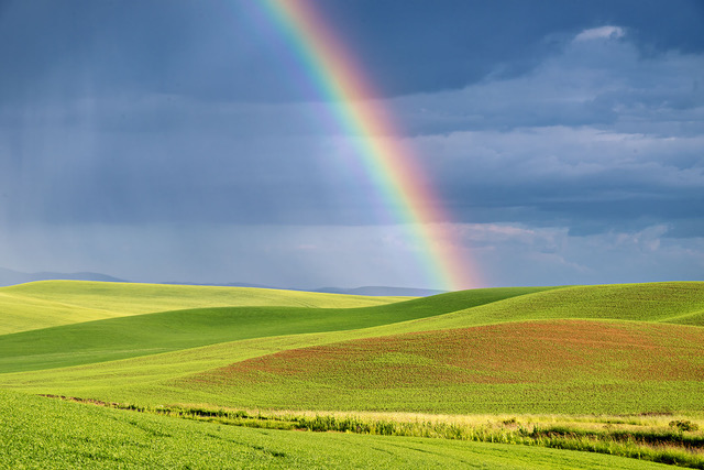  Rainbow in the Palouse by Norm Solomon