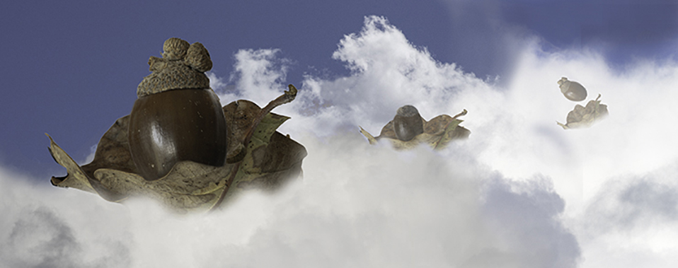 Cloud surfing by Angela Bonner