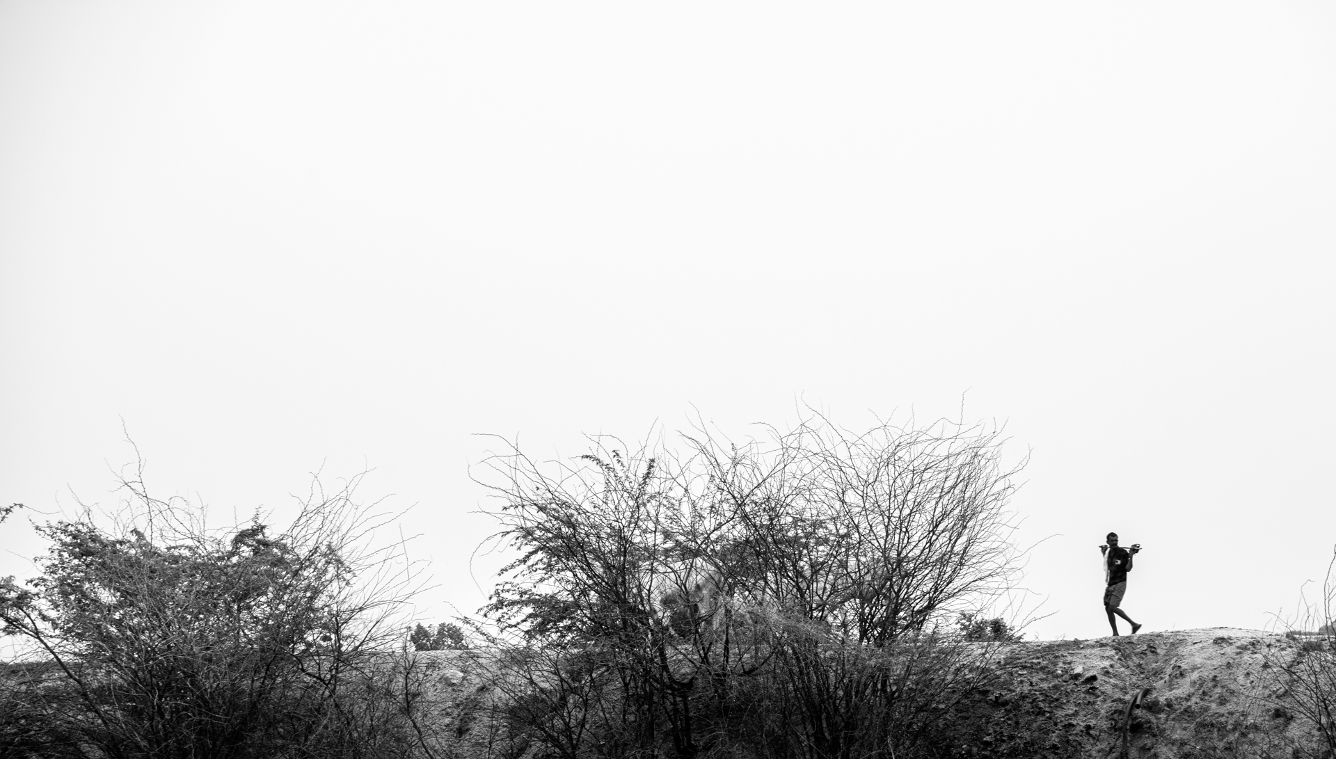 The Forgotten Road by Firdaus Mistri