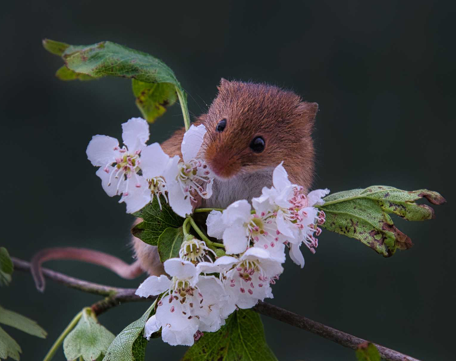 Tim Sanders Group 29 PSA Digital Dialogue