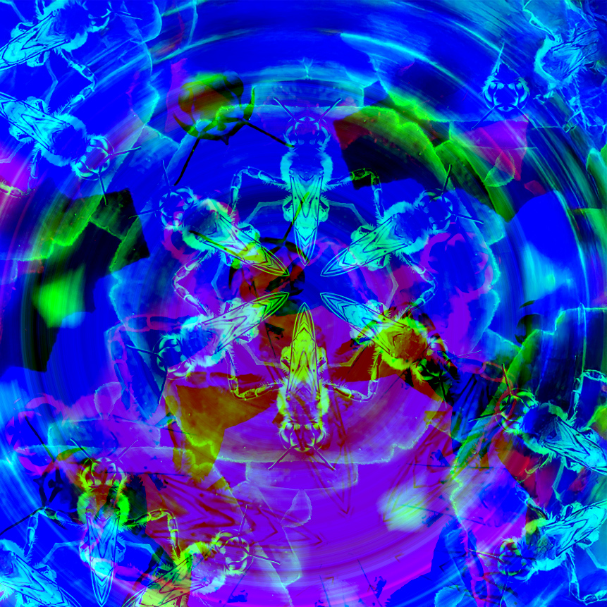 Comment Image