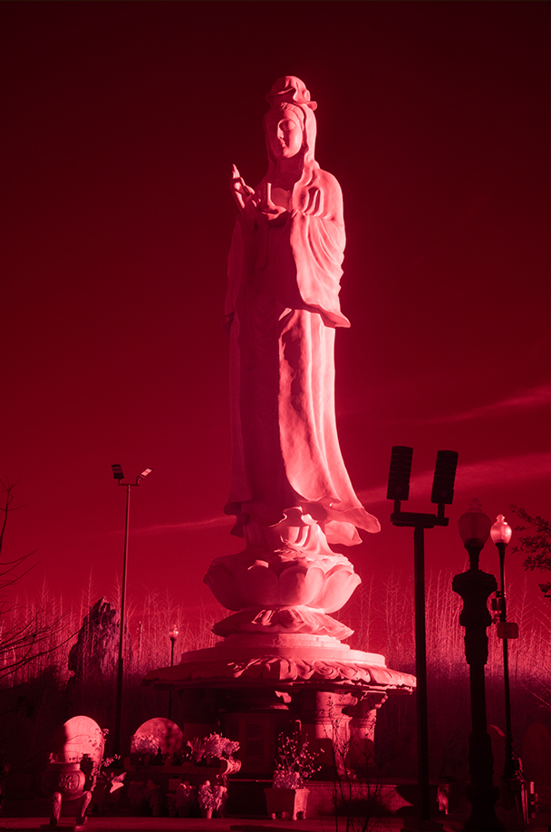 July 2026 - Phu Vo