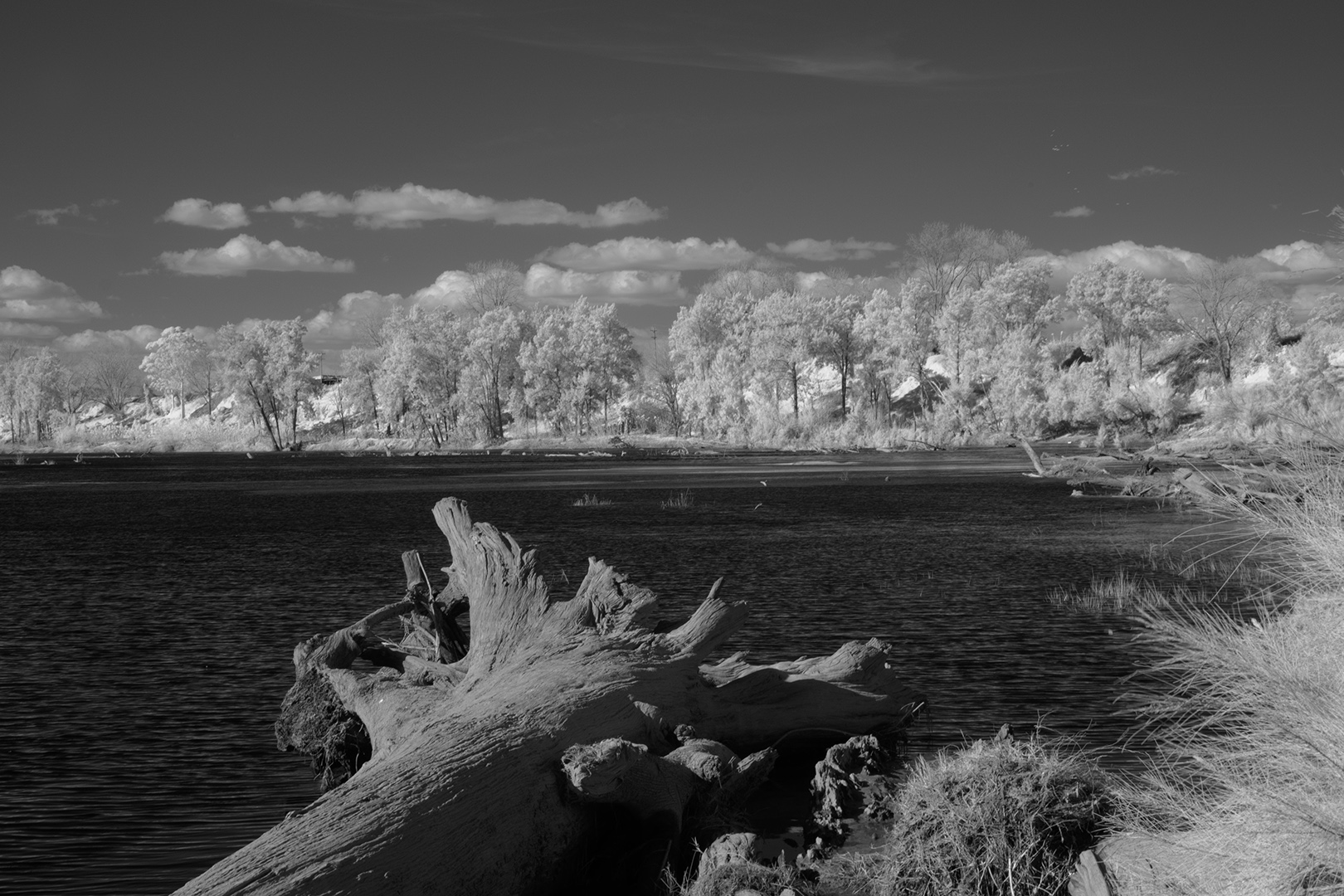 Yarramundi Lagoon by Ian Cambourne