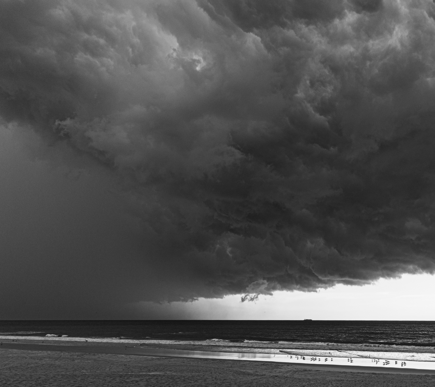 Another Day at the Beach: by Tracy Kaminer