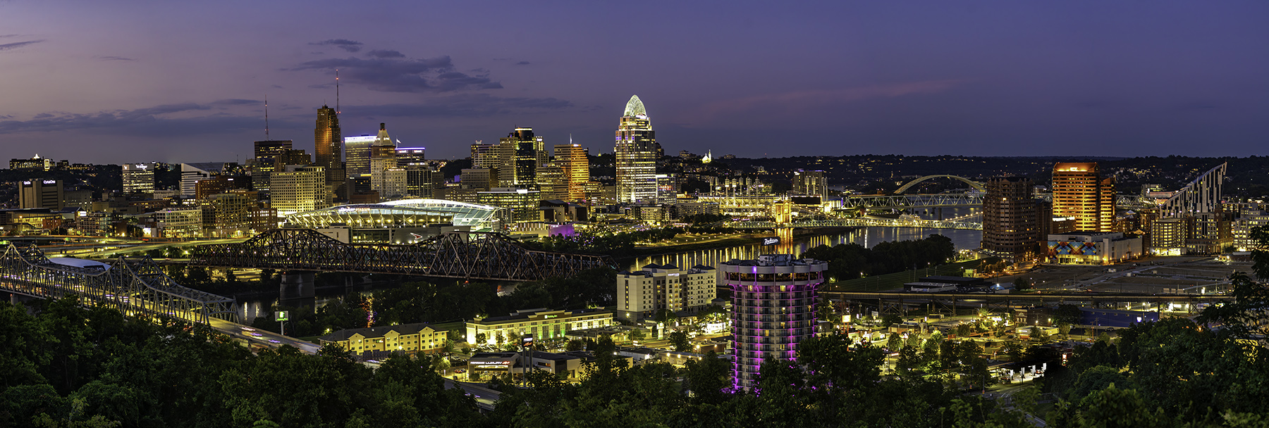 Cincinnati Skyline by Larry Treadwell