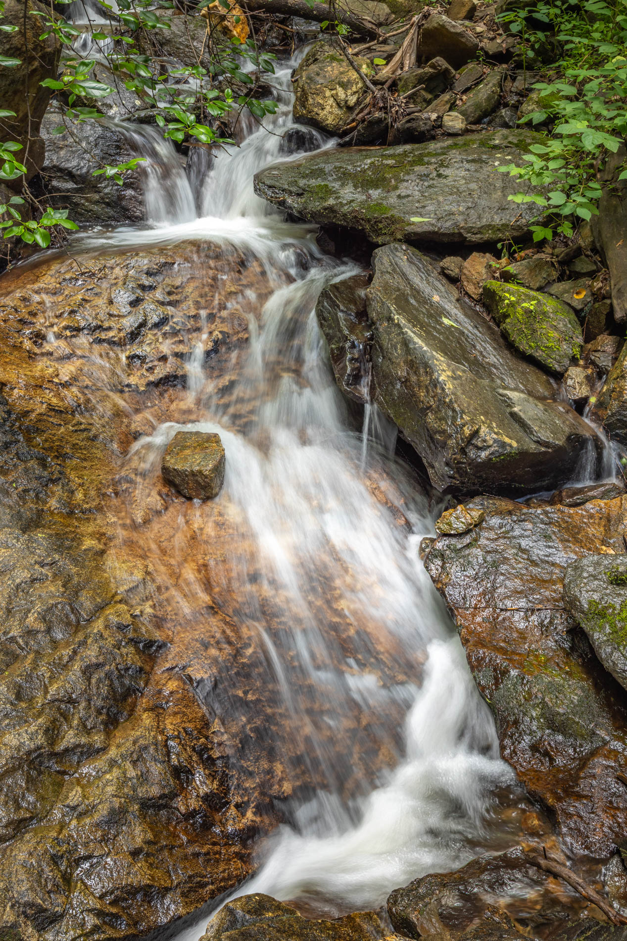 Soft Spill by Barbara Gore