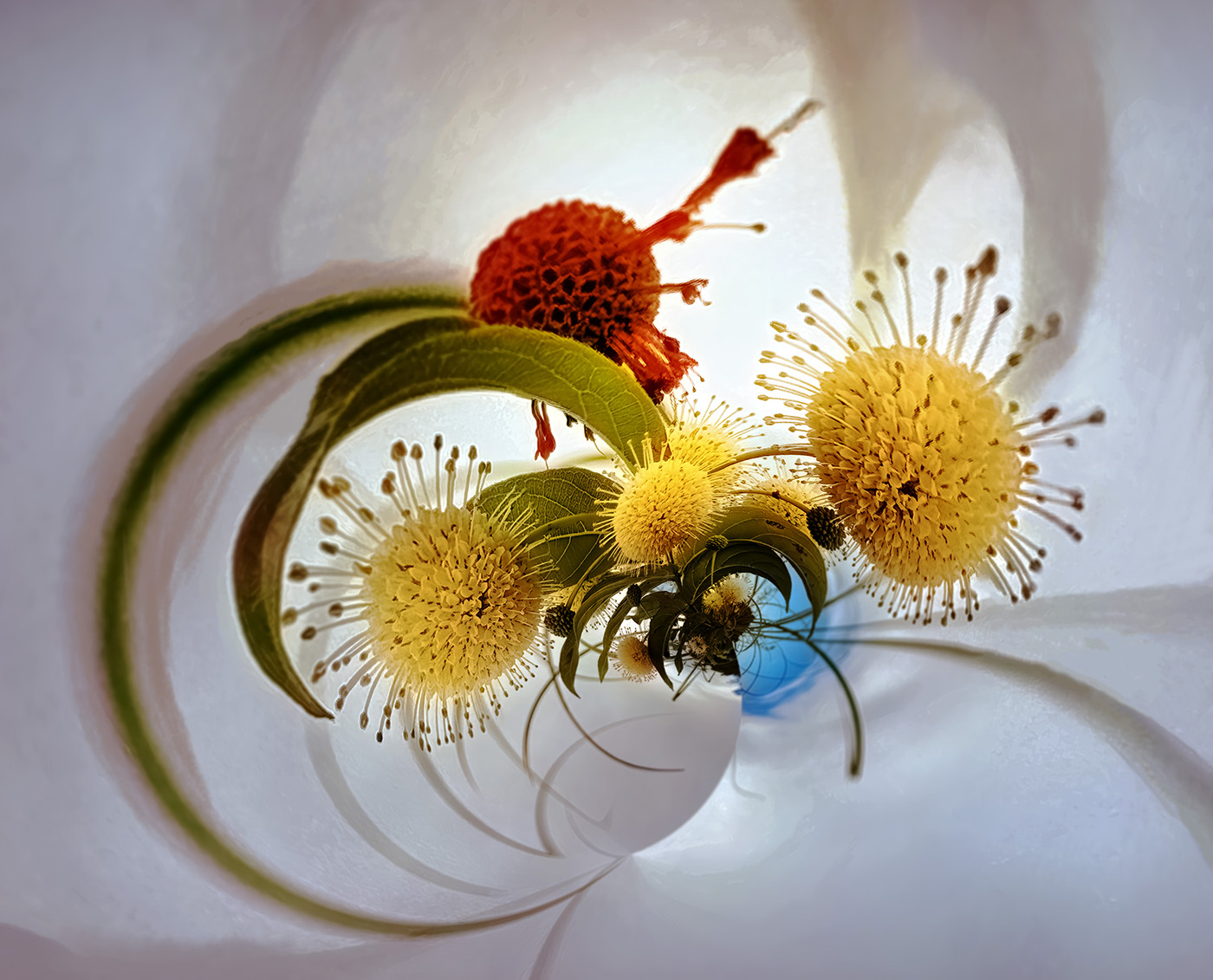 Bouquet by Art Jacoby