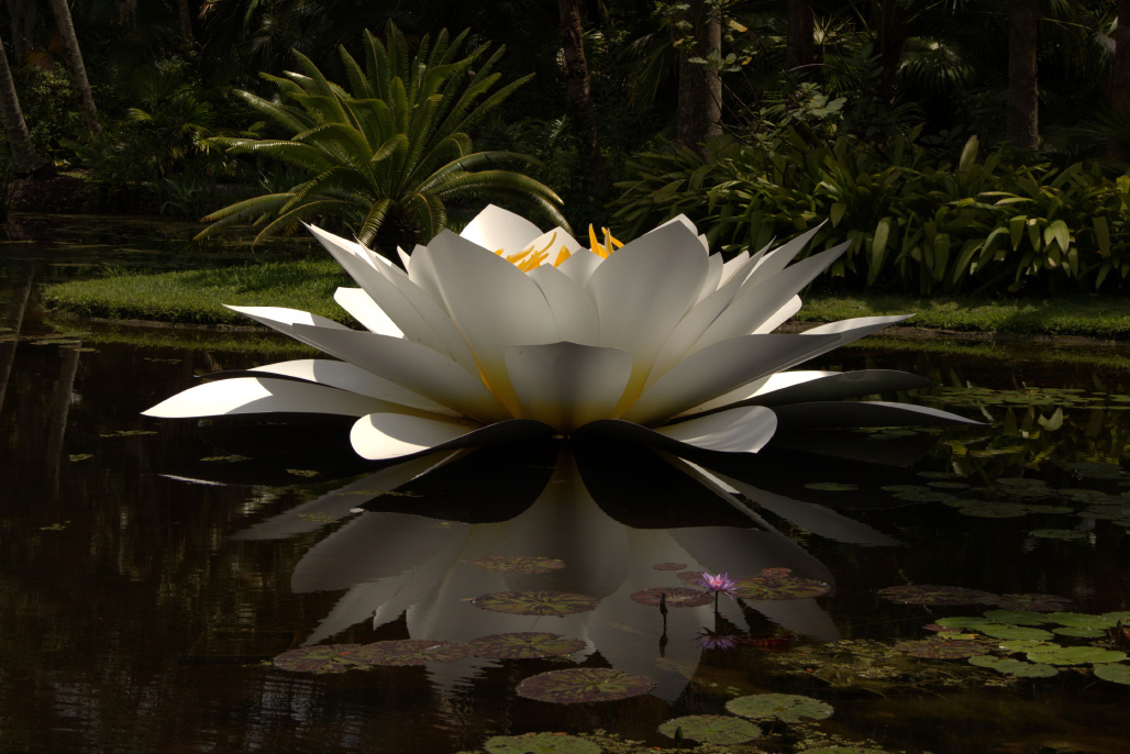 Water Lily of Metal by Marge Barham