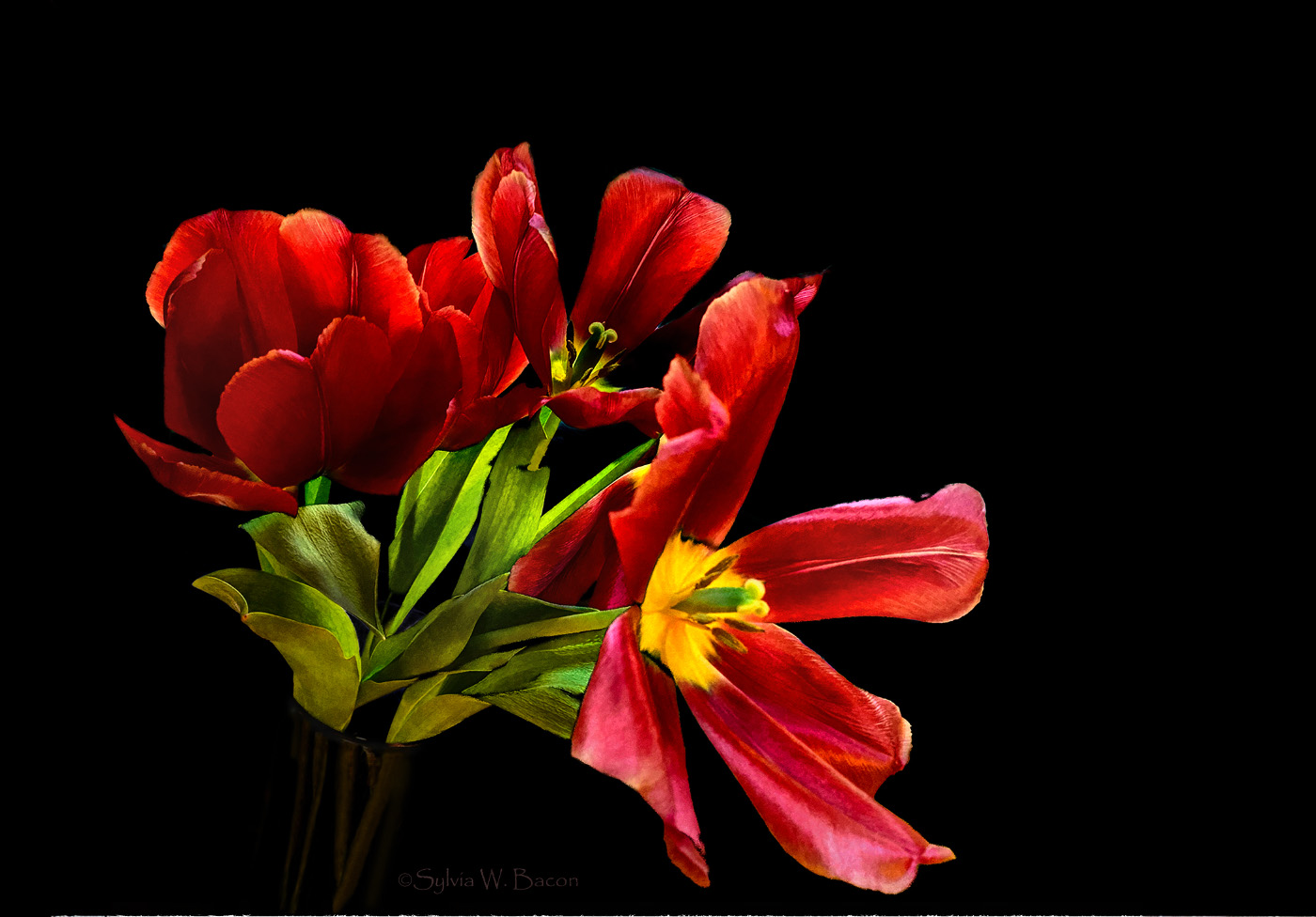 Comment Image