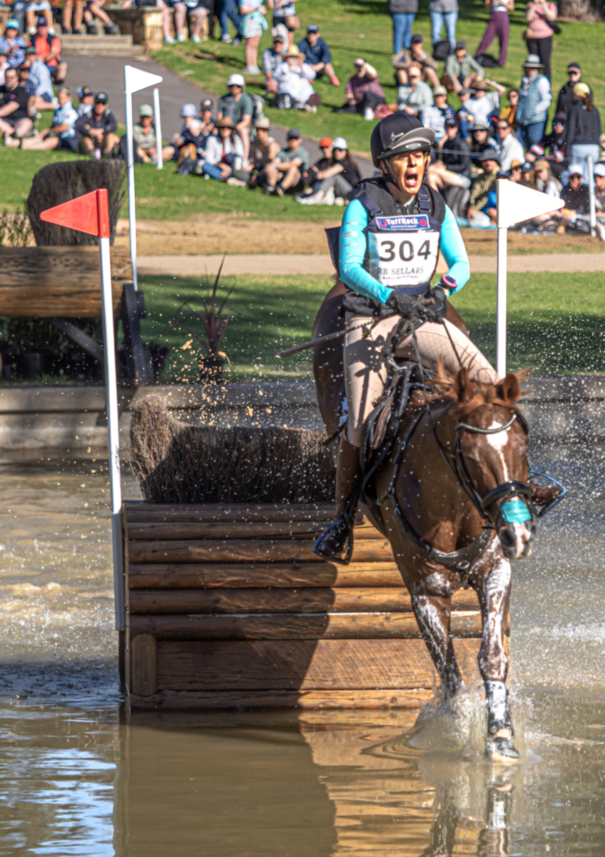 Water Jump by Julie Deer