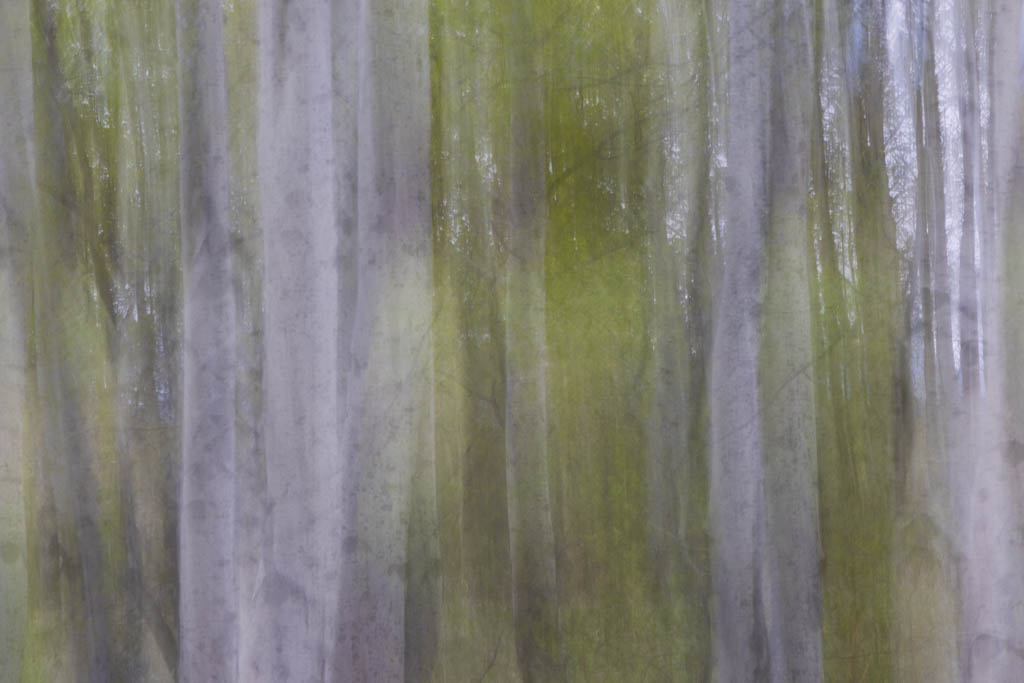 July 2026 - Deborah Milburn