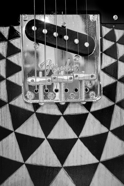 Fender Telecaster B&W by David Terao