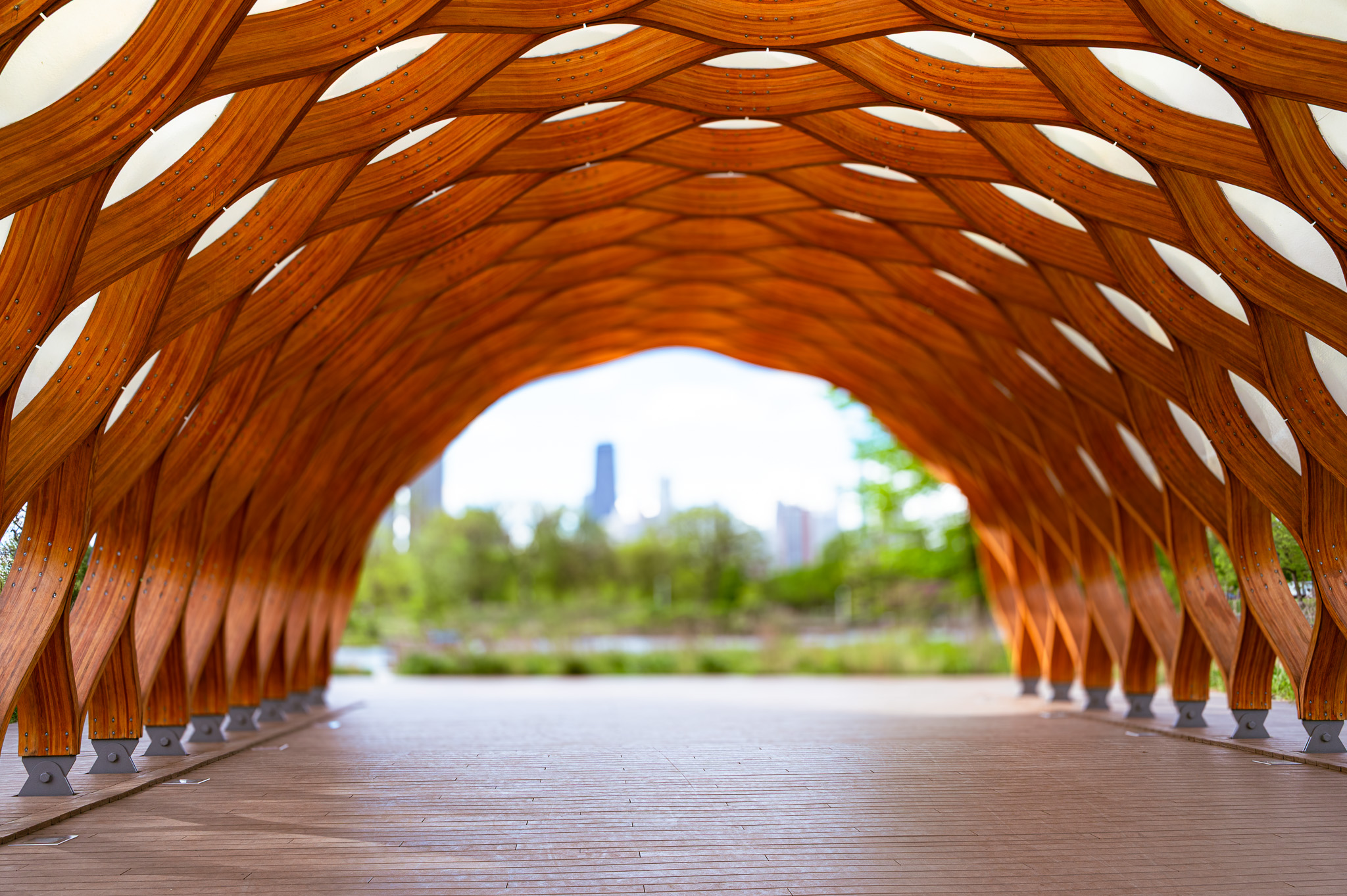 LINCOLN PARK, CHICAGO by Bridget Zaremba