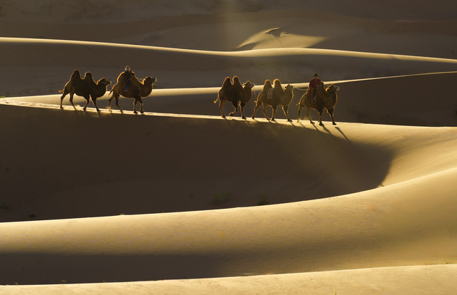 SUNRISE IN MONGOLIA by Stephanie Phillips