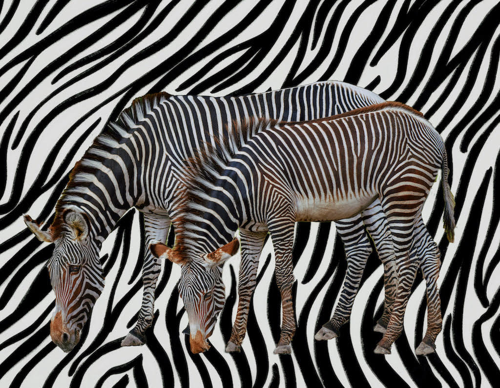 STRIPES AND MORE STRIPES by Tom Buckard
