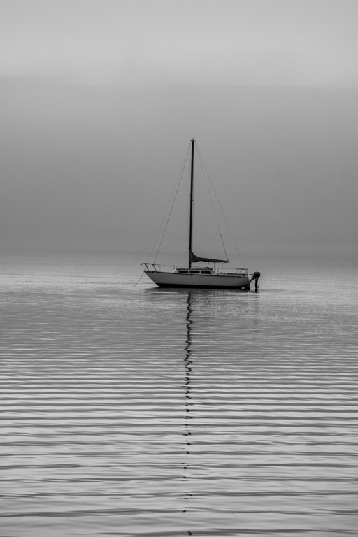 Peaceful ride.   by Cindy Post