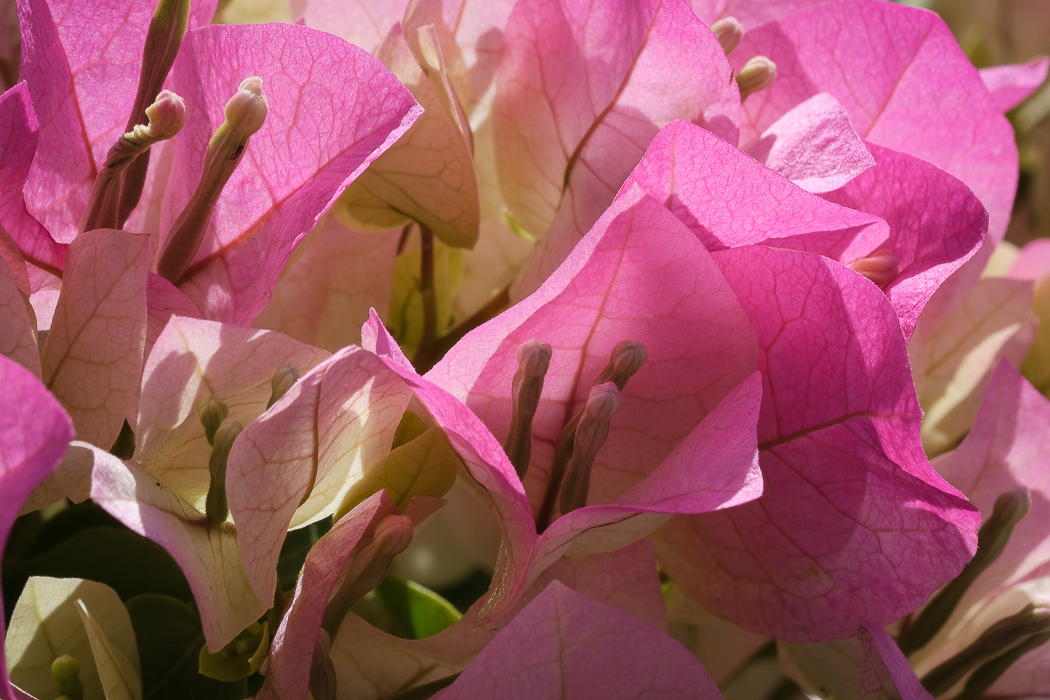  by Anne Sandler