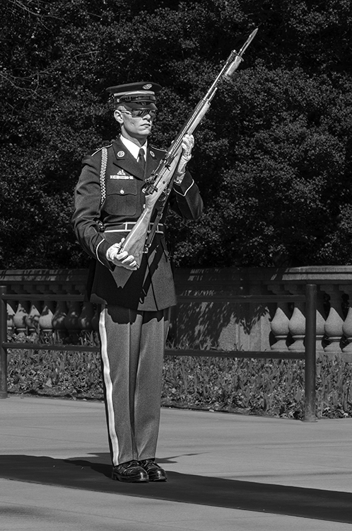 The Honor Guard by Oliver Morton