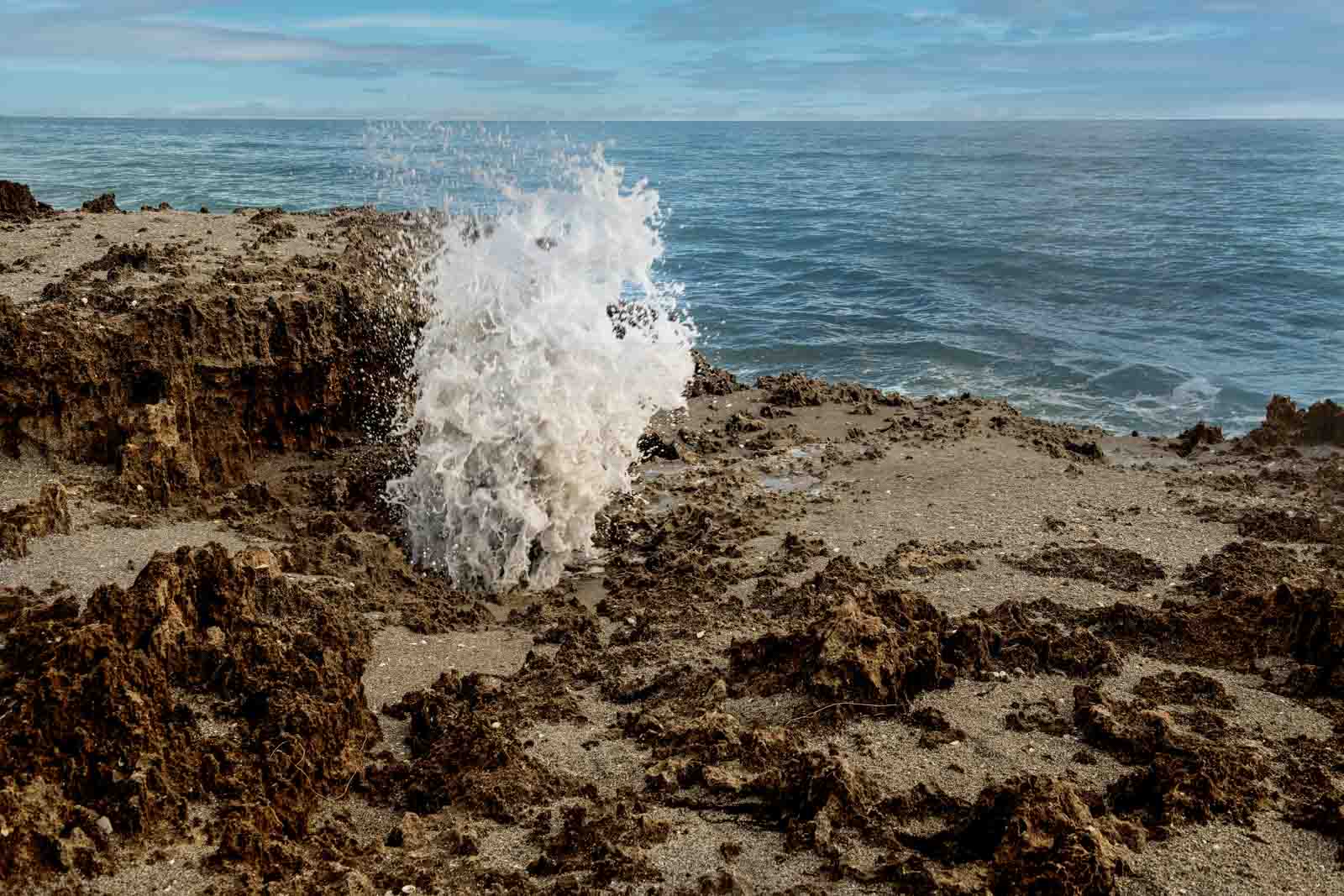 BLOWING ROCKS STATE PARK by Larry Treadwell