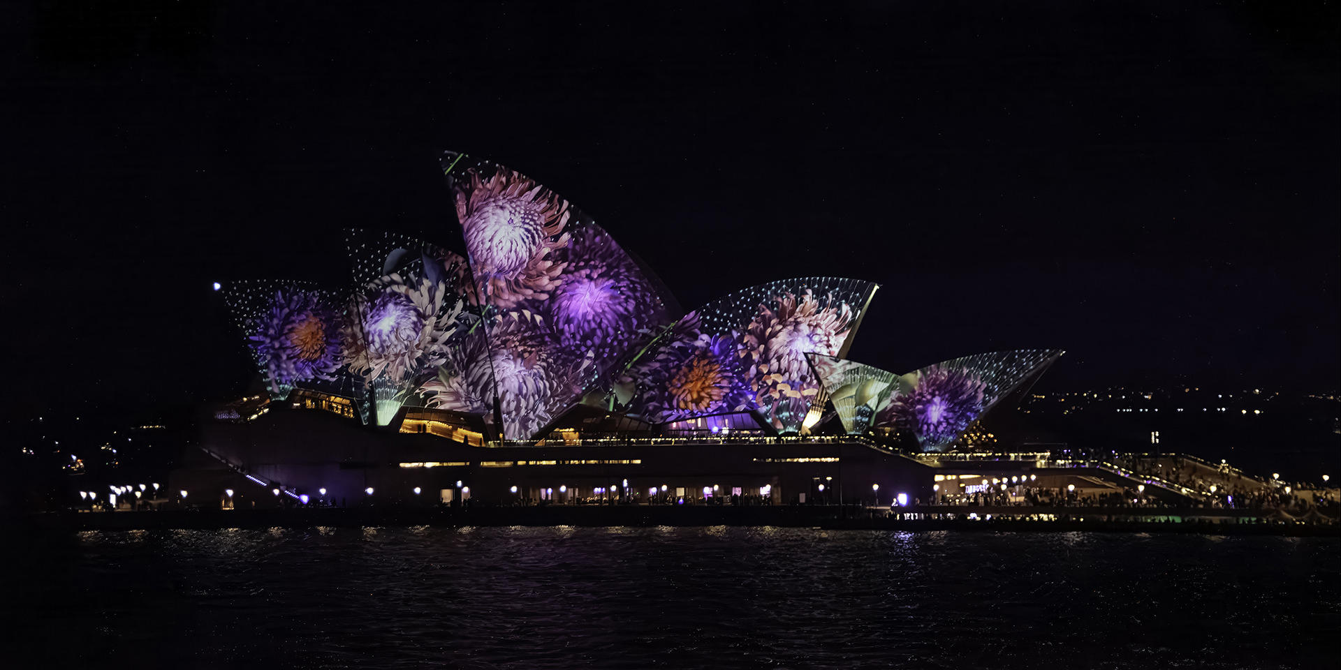 Vivid Sydney 2026 by Ian Cambourne