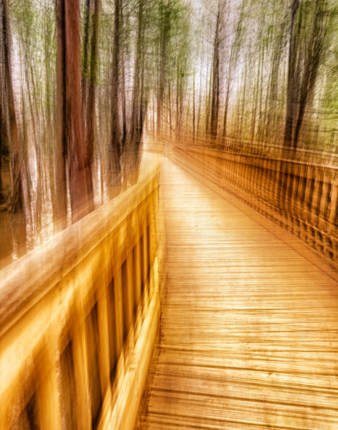 Choices Ahead by Rita Johnston