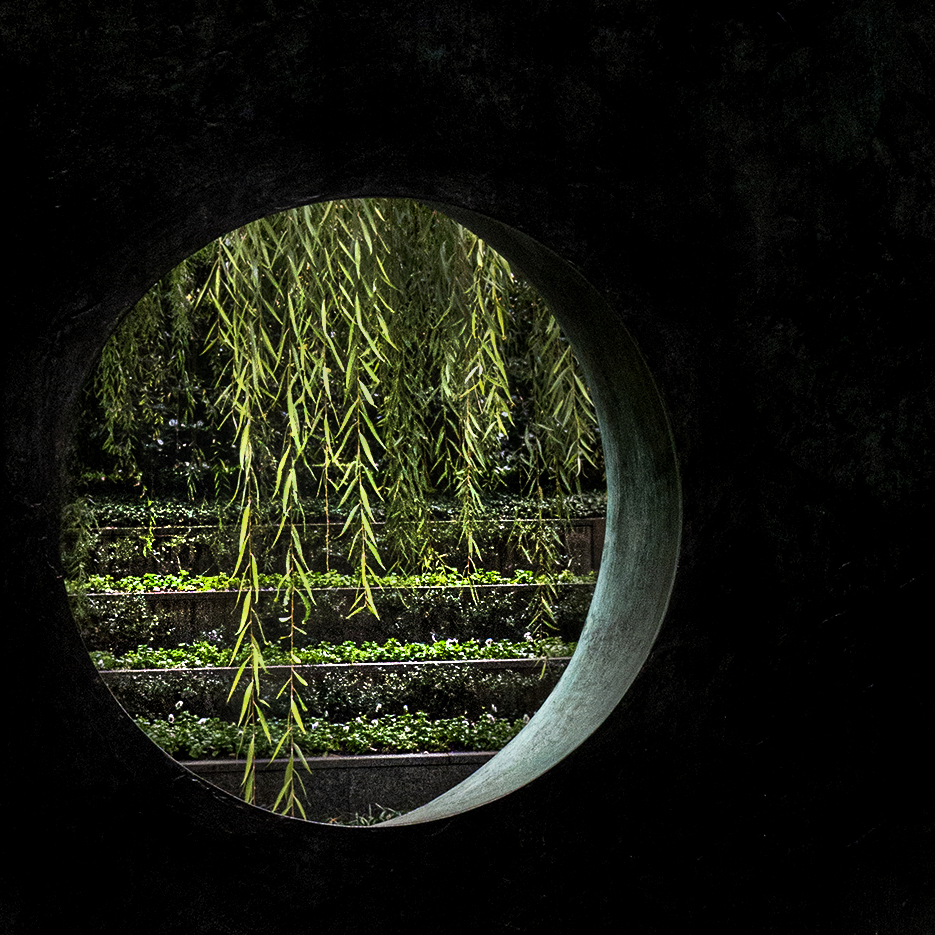 Garden Beyond by Kathryn Bundy