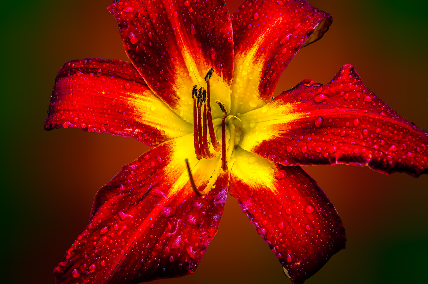 Famous Occasion after rain by Bob Legg