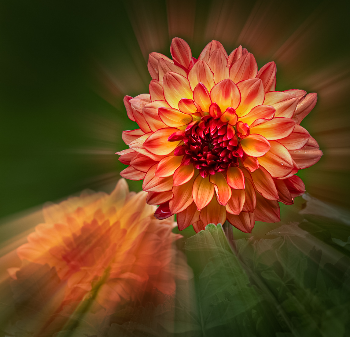 Comment Image