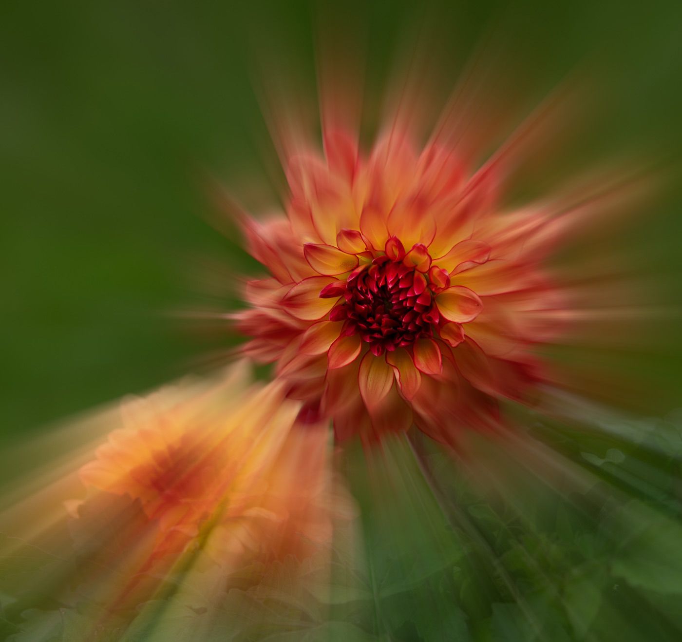 Comment Image