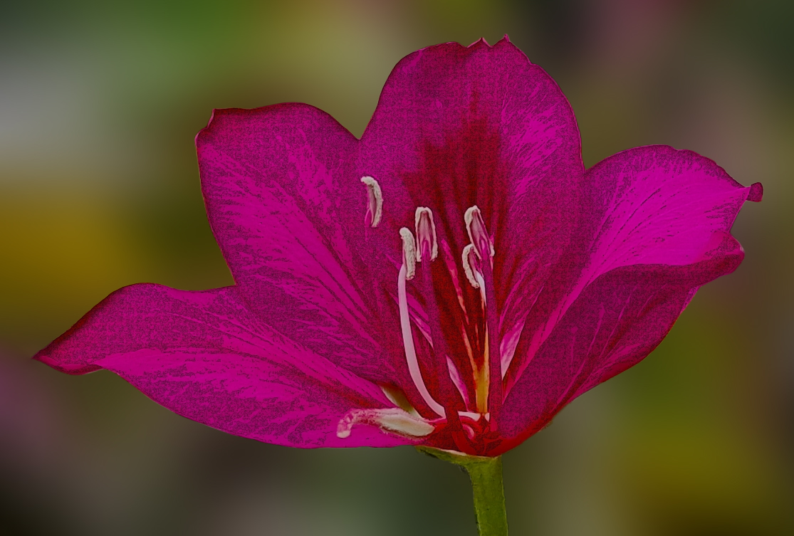 Comment Image