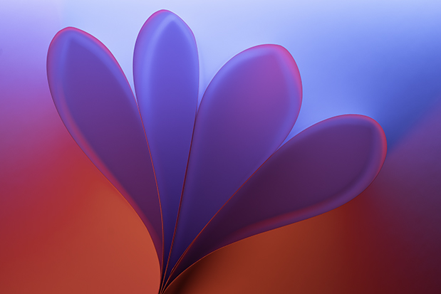 Coloured paper by Angela Bonner