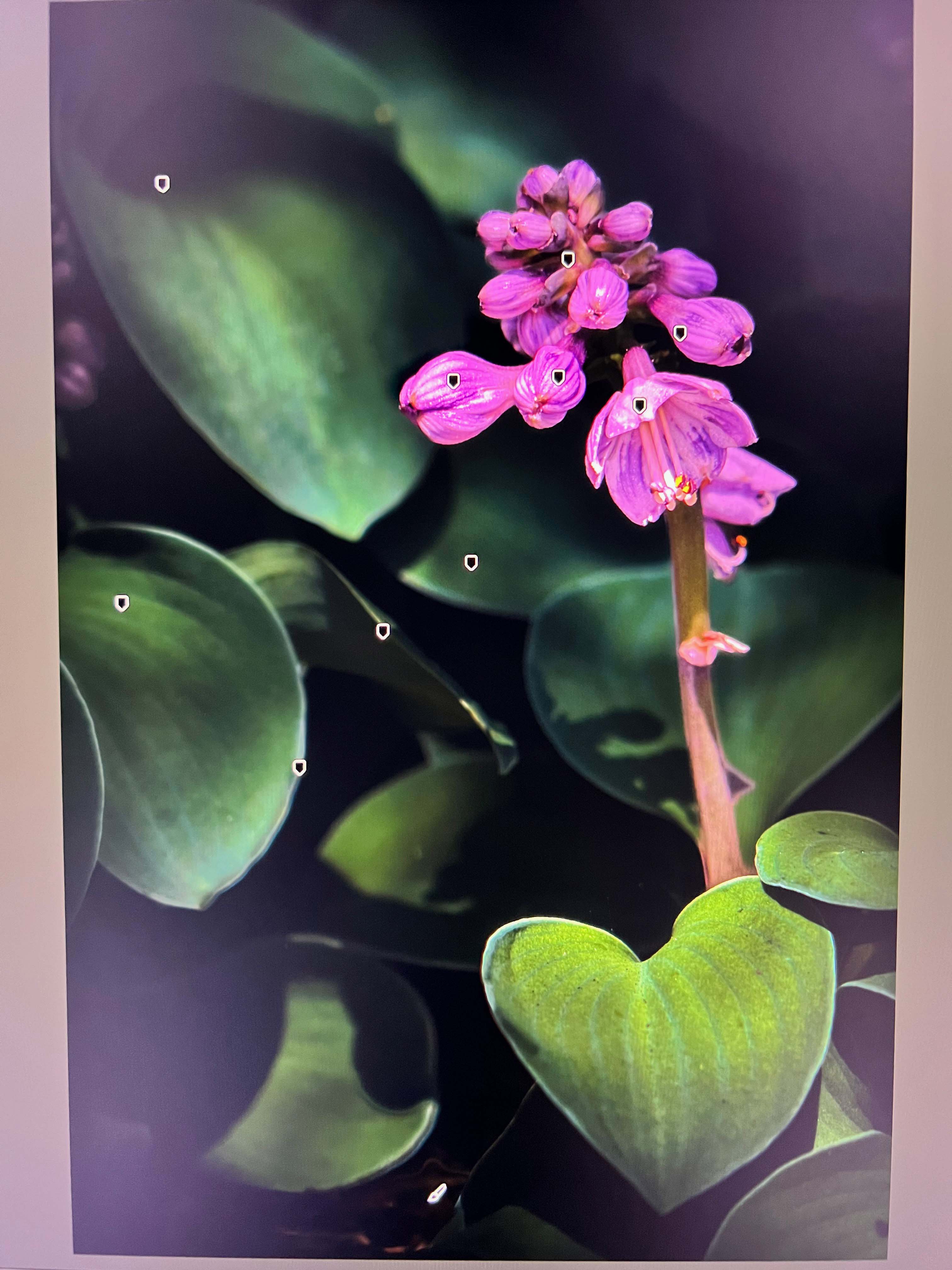 Comment Image