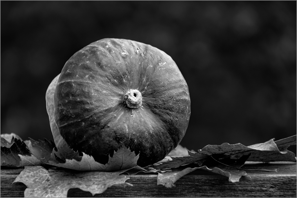 Comment Image